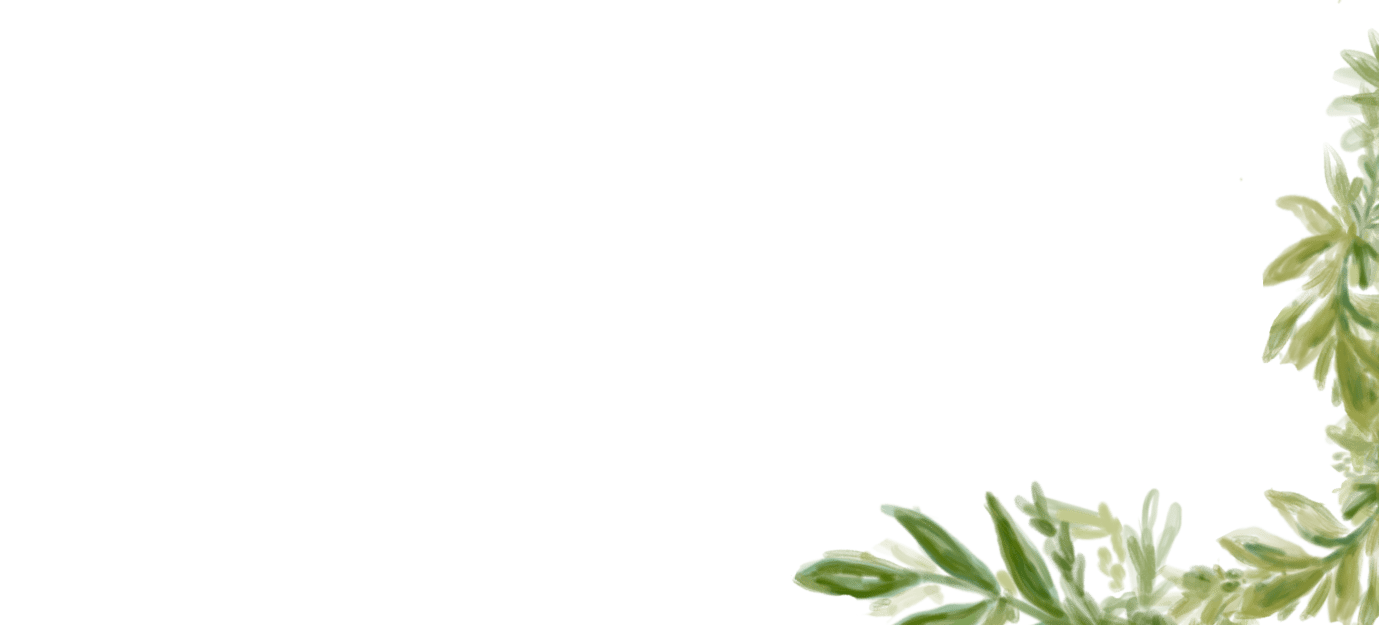 Ana-y-Ben-flores-info1